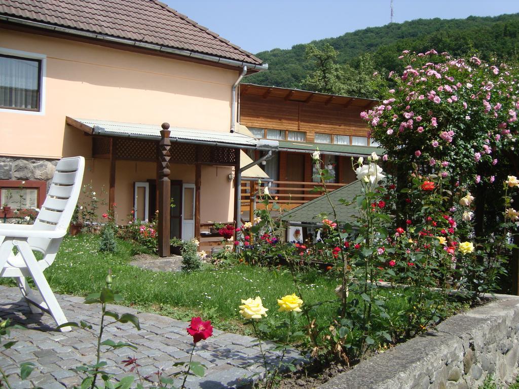 Appartement Casa Katona à Sovata Extérieur photo