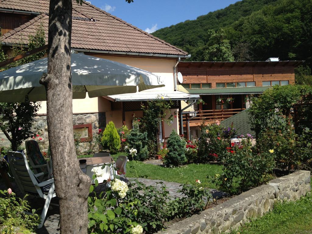 Appartement Casa Katona à Sovata Extérieur photo